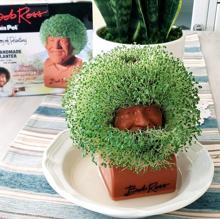 Grow Your Own Happy Little Sprouts On This Bob Ross Chia Pet 