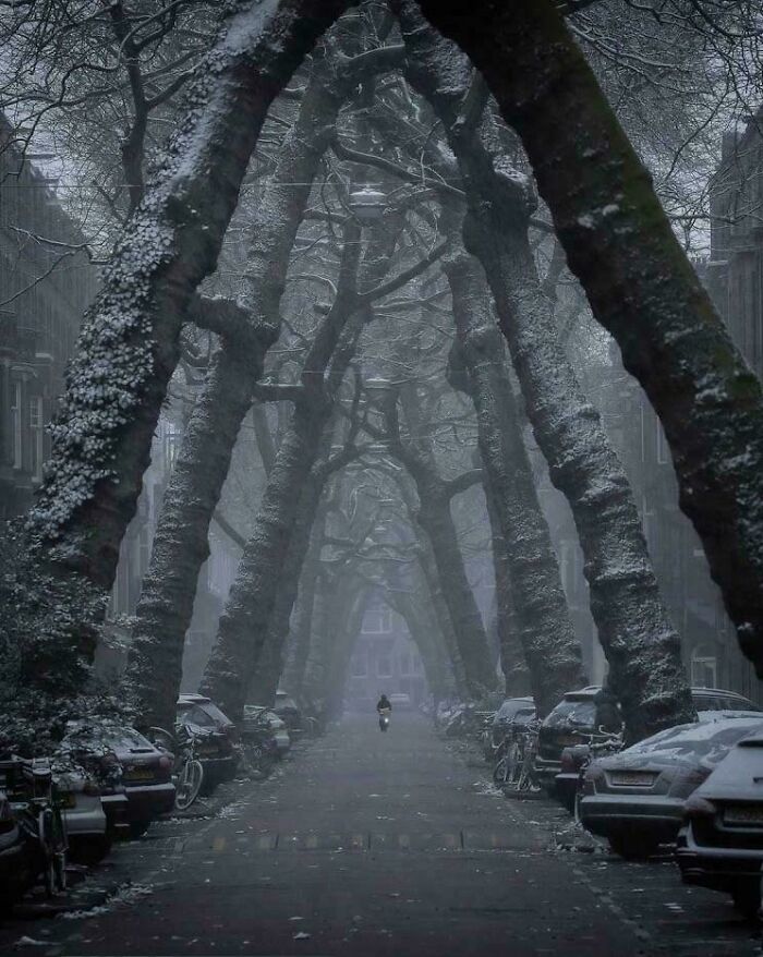 A Street In Amsterdam, Netherlands