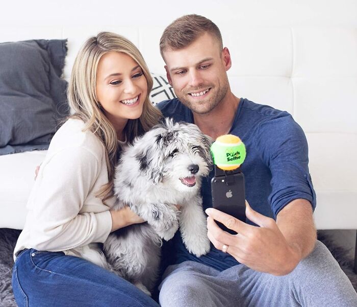 Get That Perfect Selfie With Your Furry Friends With This Attention Grabbing Dog Selfie Stick 
