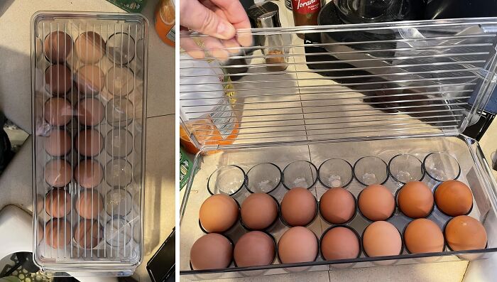 We Give You Permission To Put All Your Eggs In One Plastic Egg Holder , Because We Know They Will Be Safe