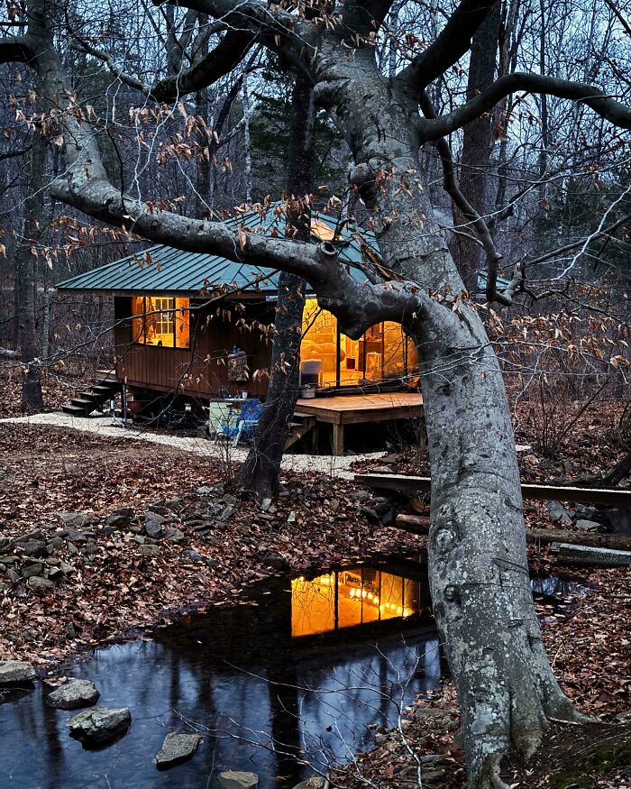 My Cabin In Virginia 