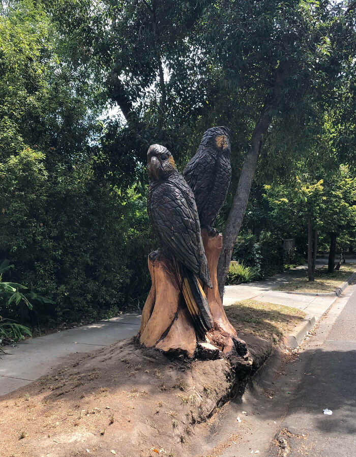 Tree Fell Down In My Street, My Neighbor Decided To Create This Masterpiece