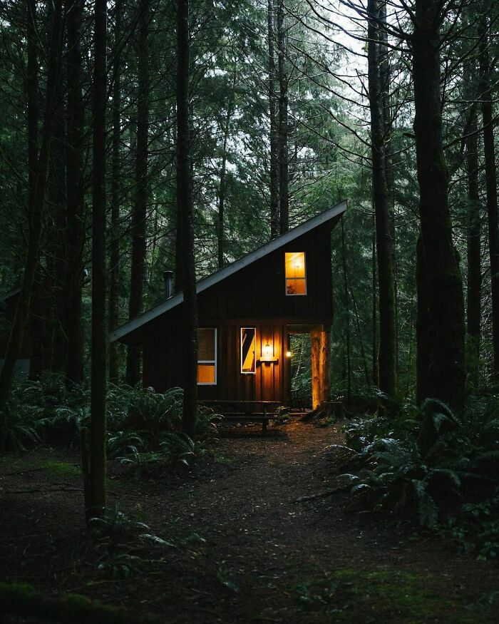 This Cabin In British Columbia, Canada