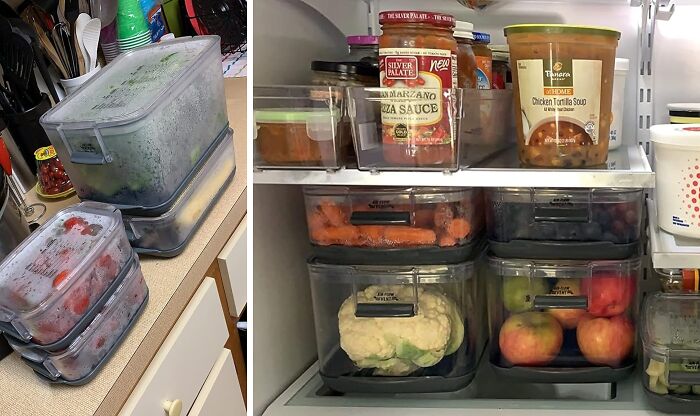 Your Produce Has Never Looked Better Thanks To These Prokeeper Food Storage Containers 