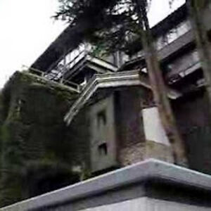 rosebudfortyniner avatar