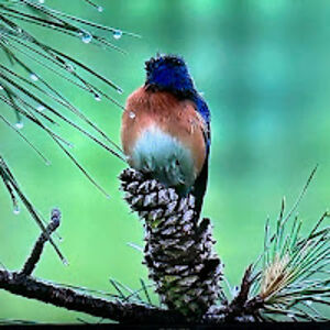 barbarasanders avatar