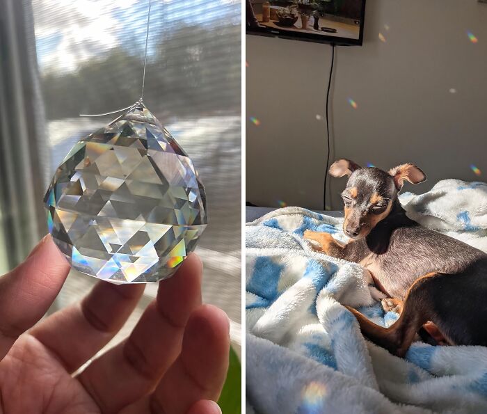 This Crystal Ball Suncatcher Shows That You Don't Take Yourself Too Seriously