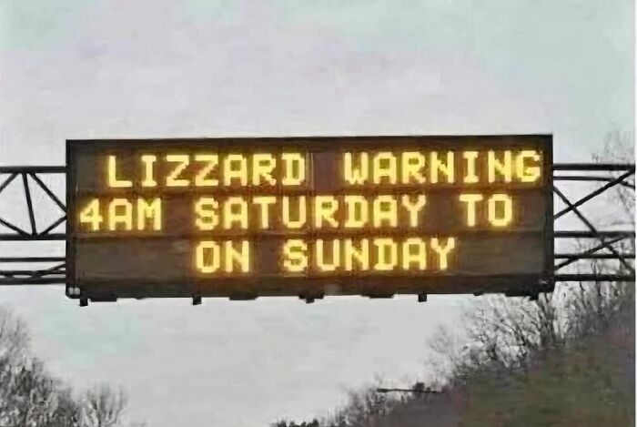 Lizzard Warning