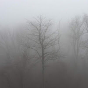 sardonicsarah avatar