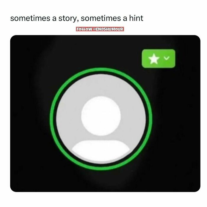 Screenshot of a social media profile icon with the caption sometimes a story sometimes a hint, showing humor in adulting.