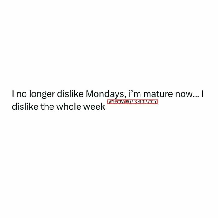 Relatable screenshot humor about adulting expressing mature dislike for the whole week, not just Mondays.