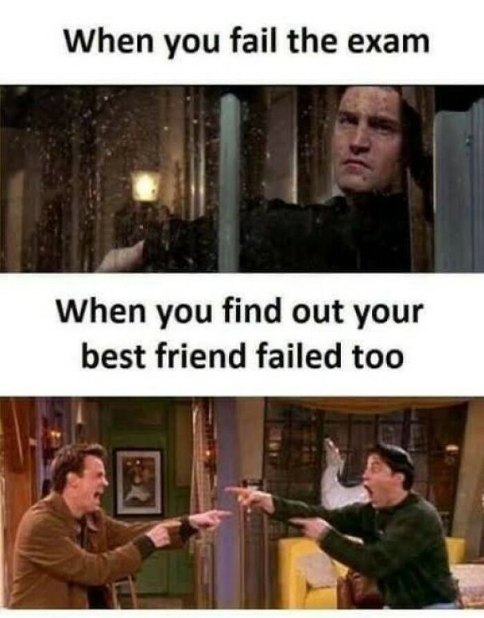 Two-part meme showing exam failure sadness and surprise when best friend also fails, highlighting shared random memes experience.