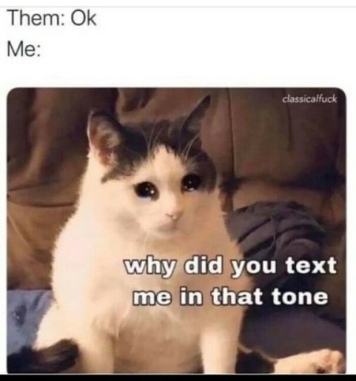 Cat with sad eyes sitting on a couch with meme text about texting tone, related to random memes and unique experience.