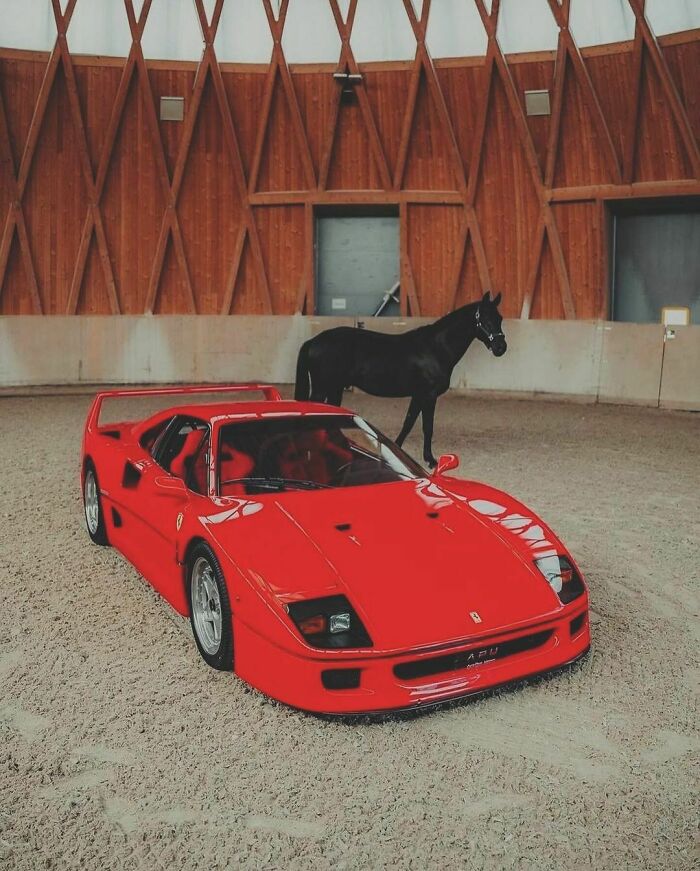 Red Ferrari F40 from the nineties alongside a black horse in an indoor arena with wooden walls.