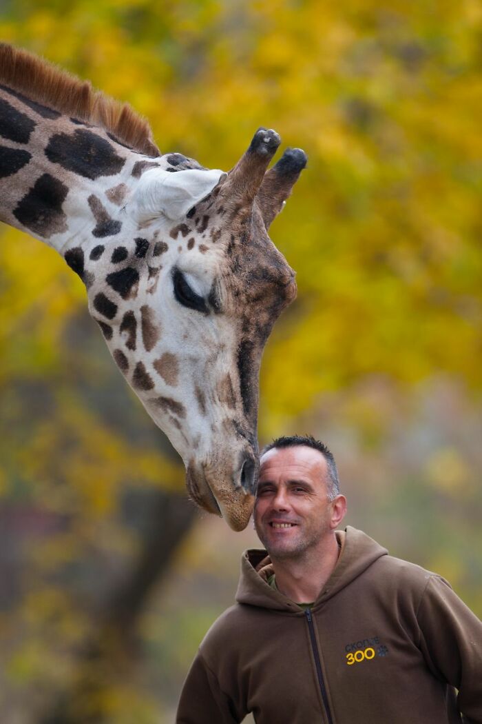 A Heartbreaking Day At The Macedonian Zoo: Zookeeper And Giraffe Both Pass Away, Leaving A Legacy A Heartbreaking Day At The Macedonian Zoo: Zookeeper And Giraffe Both Pass Away, Leaving A Legacy