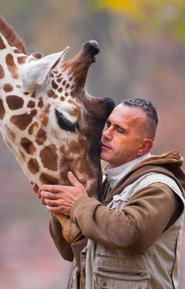 A Heartbreaking Day At The Macedonian Zoo: Zookeeper And Giraffe Both Pass Away, Leaving A Legacy A Heartbreaking Day At The Macedonian Zoo: Zookeeper And Giraffe Both Pass Away, Leaving A Legacy