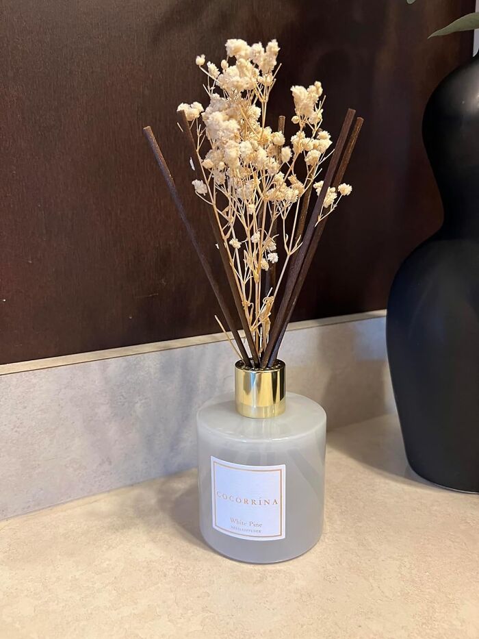 A Cocorrína Reed Diffuser Set Is Chic And Classy, Just Like Your Mom!