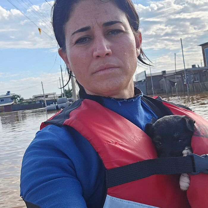 These Dedicated Volunteers Are Rescuing Thousands Of Animals From Rio Grande Do Sul Floods These Dedicated Volunteers Are Rescuing Thousands Of Animals From Rio Grande Do Sul Floods