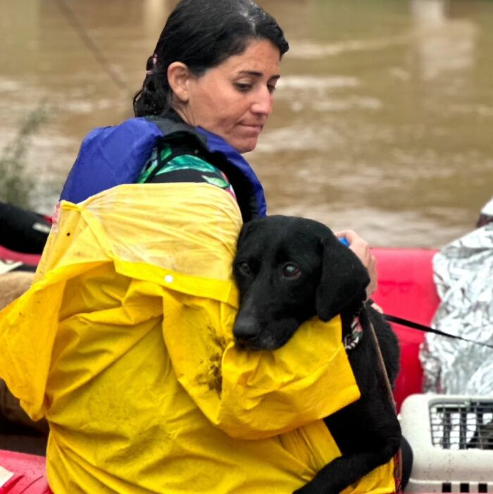 These Dedicated Volunteers Are Rescuing Thousands Of Animals From Rio Grande Do Sul Floods These Dedicated Volunteers Are Rescuing Thousands Of Animals From Rio Grande Do Sul Floods