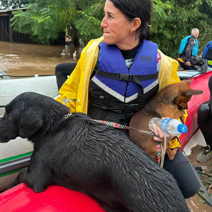 These Dedicated Volunteers Are Rescuing Thousands Of Animals From Rio Grande Do Sul Floods These Dedicated Volunteers Are Rescuing Thousands Of Animals From Rio Grande Do Sul Floods