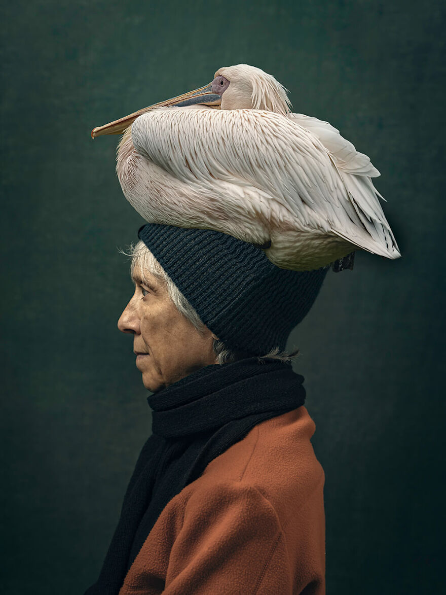 Birds Of A Feather © Elaine Klein