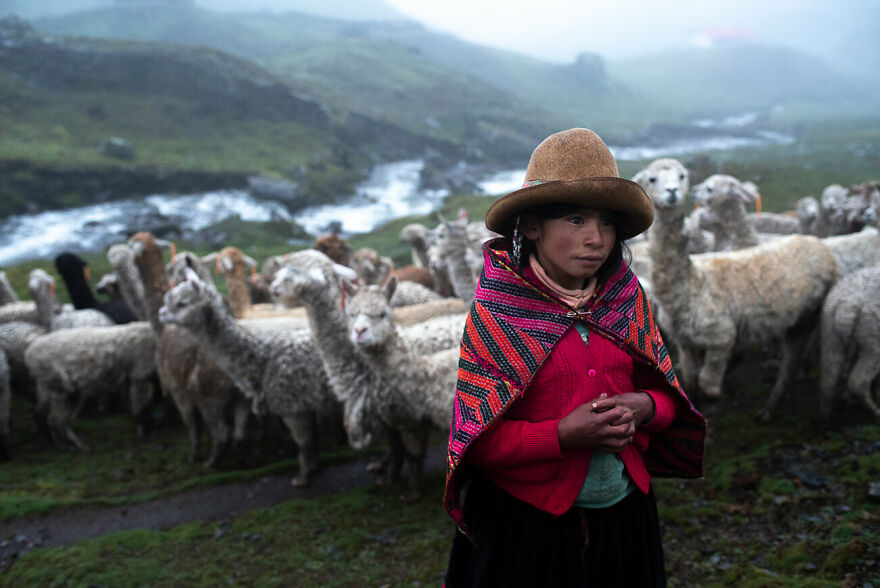 The Little Shepherd © Ilaria Miani