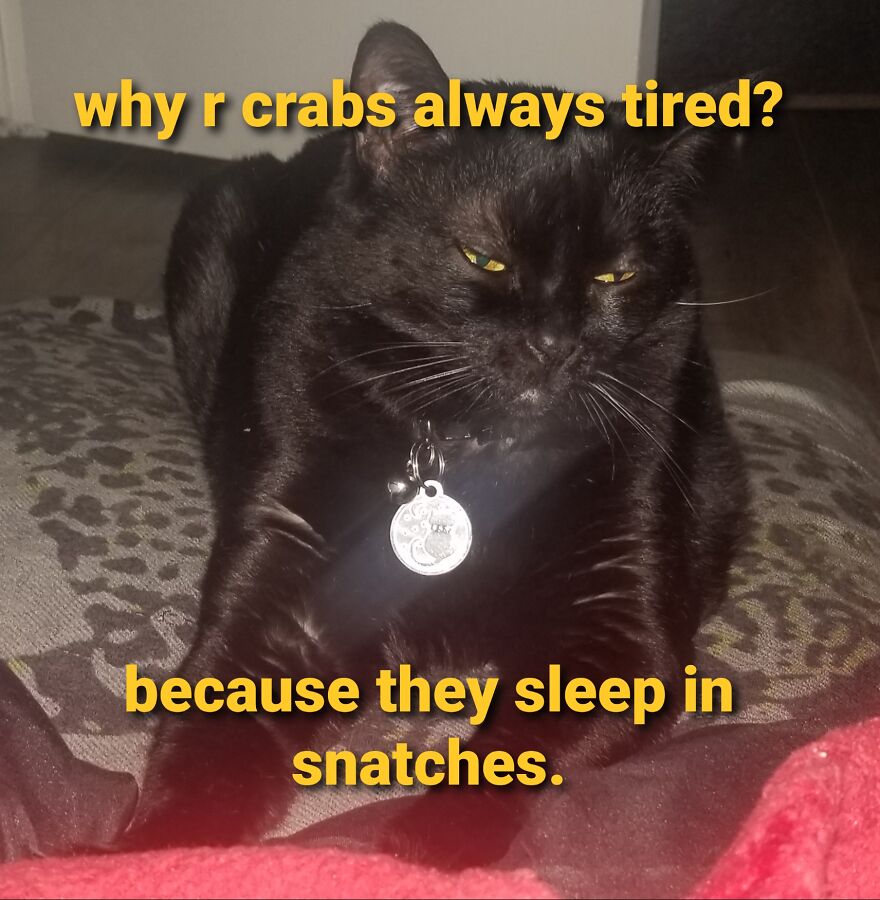 Boobiekatz On Letterkenny Boobiekatz On Letterkenny