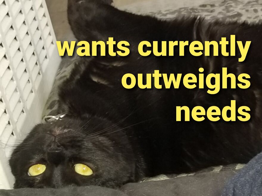 Boobiekatz On Letterkenny Boobiekatz On Letterkenny