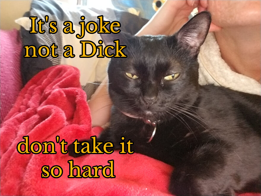 Boobiekatz On Letterkenny Boobiekatz On Letterkenny