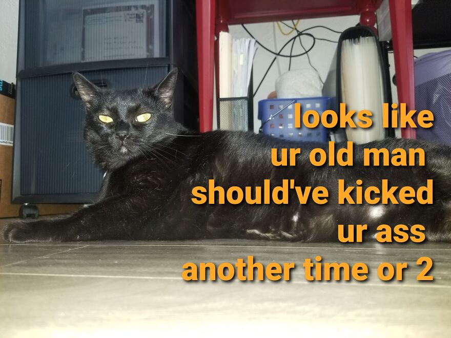 Boobiekatz On Letterkenny Boobiekatz On Letterkenny