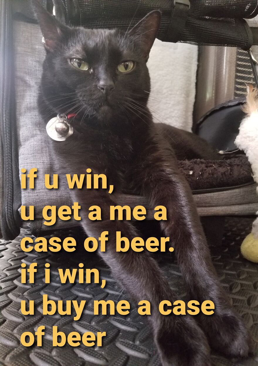 Boobiekatz On Letterkenny Boobiekatz On Letterkenny