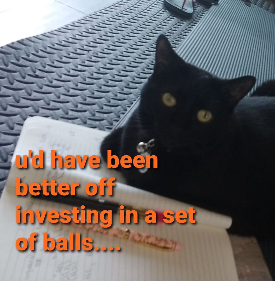 Boobiekatz On Letterkenny Boobiekatz On Letterkenny