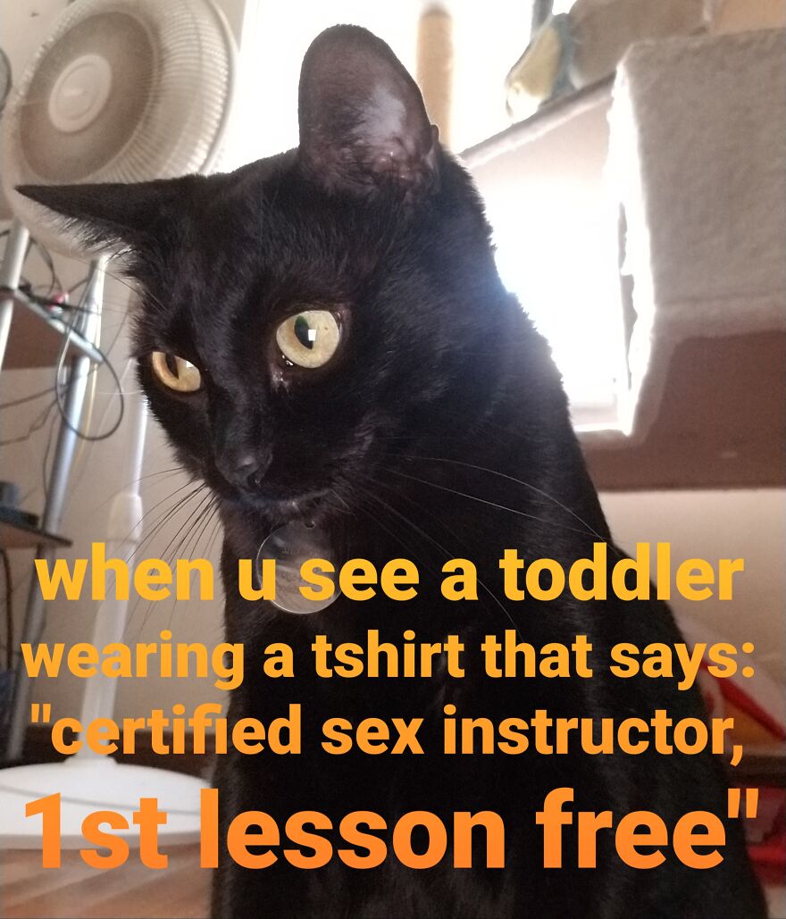 Boobiekatz On Letterkenny Boobiekatz On Letterkenny