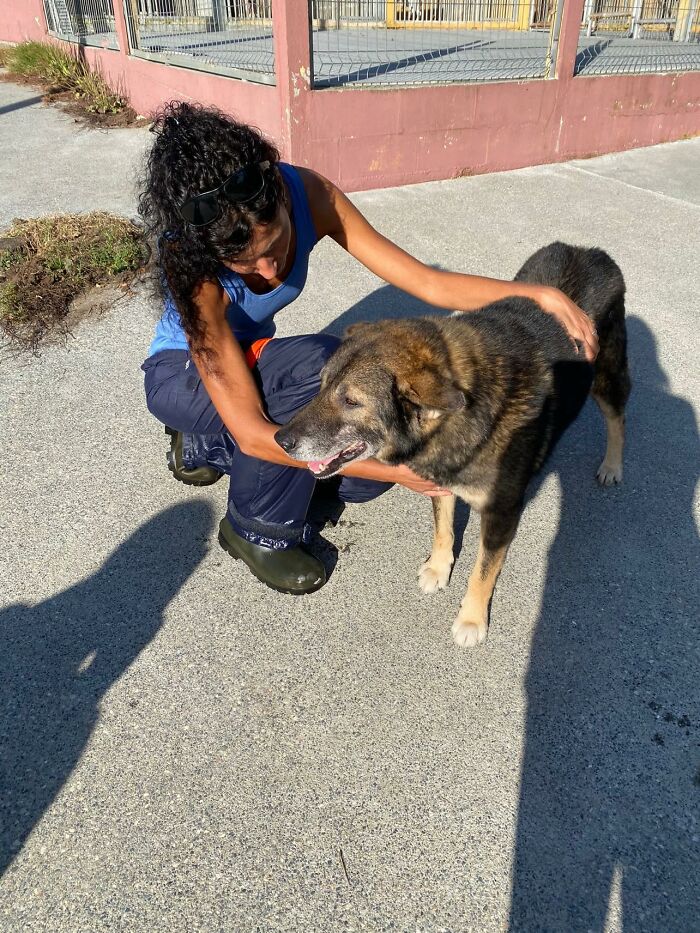 Senior Stray Dog From Spain Can’t Stop Smiling After Getting Rescued And Adopted By A Family In The UK Senior Stray Dog From Spain Can’t Stop Smiling After Getting Rescued And Adopted By A Family In The UK