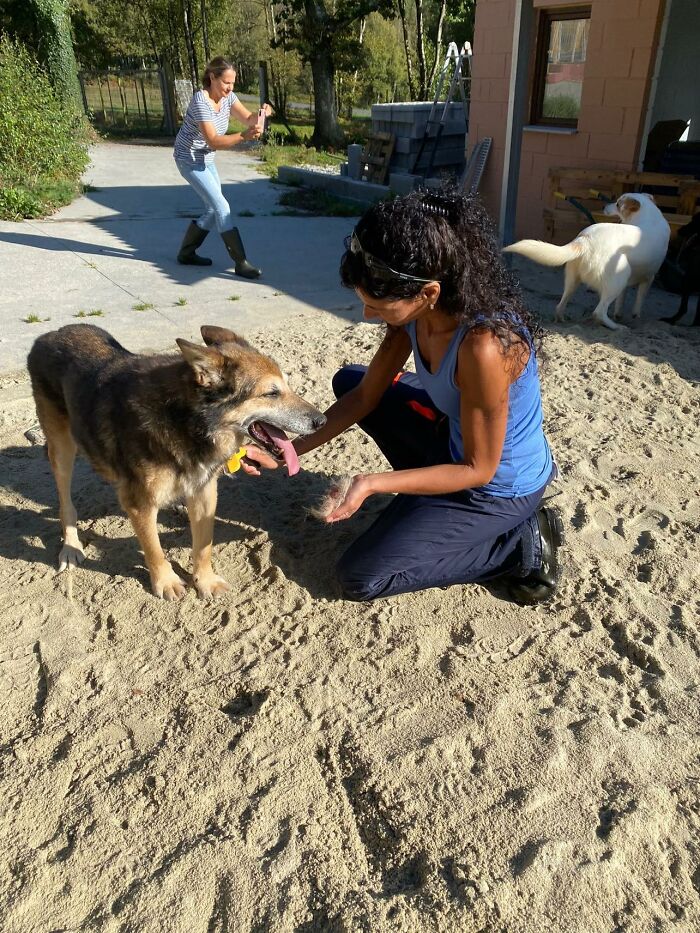Senior Stray Dog From Spain Can’t Stop Smiling After Getting Rescued And Adopted By A Family In The UK Senior Stray Dog From Spain Can’t Stop Smiling After Getting Rescued And Adopted By A Family In The UK