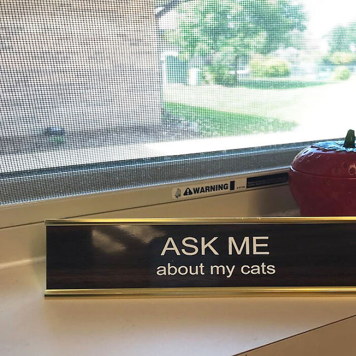 Let Your Desk Say What You Have In Your Cat Loving Mind With This Funny Desk Plate Sign
