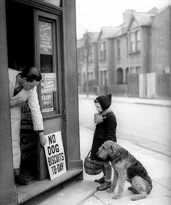 "No Dog Biscuits Today" London, C. 1942