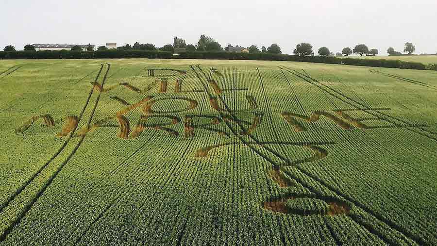 Girlfriend Can’t Hold Her Tears Back After Farmer Carves “Marry Me” Into His Field At Golden Hour Girlfriend Can’t Hold Her Tears Back After Farmer Carves “Marry Me” Into His Field At Golden Hour