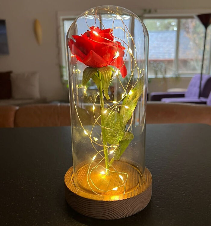 If You Have Been A Bit Of A Beast, Apologise To Your Belle With This Rose In A Glass Dome, Because Every Princess Deserves One.