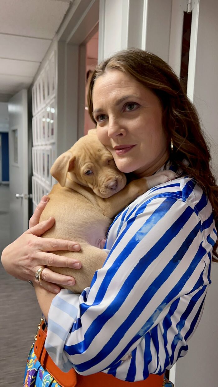 Drew Barrymore Can’t Imagine Life Without Her 9 Pets: “Love That Is Just So Profound” Drew Barrymore Can’t Imagine Life Without Her 9 Pets: “Love That Is Just So Profound”