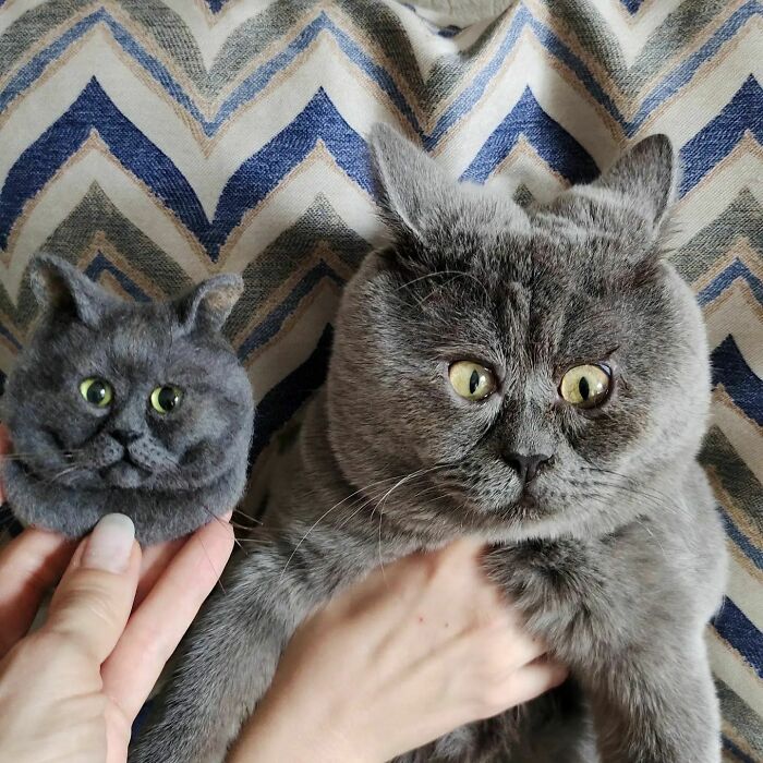 A Slightly Strange And Funny-Looking Cat Continues To Win Hearts Online (New Pics)