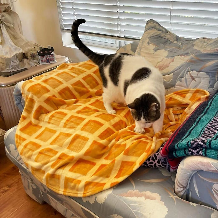 A Realistic Waffle Blanket With Pouch : A Whole New Take On Breakfast In Bed