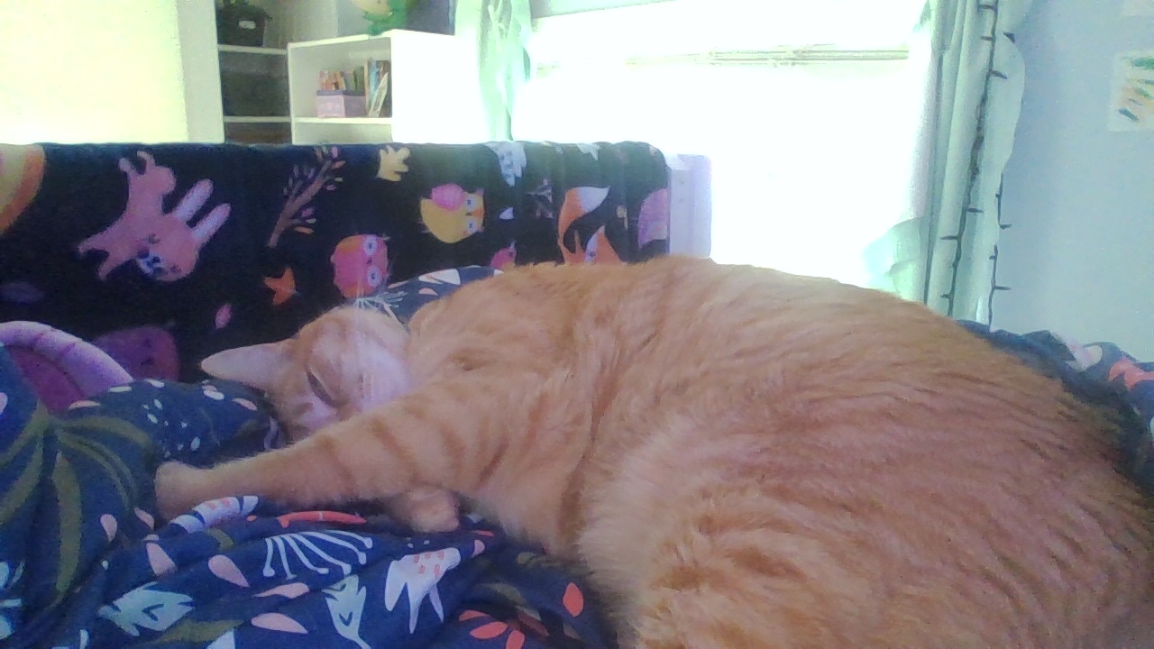 Hey Pandas, Post A Pic Of Ur Pet!