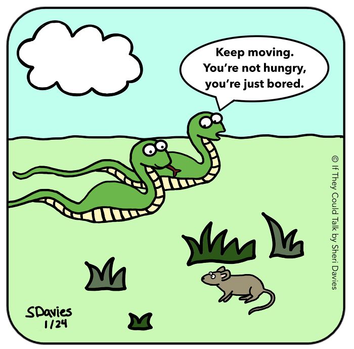 I Spend My Evenings And Weekends Drawing Simple Animal Cartoons And Now I’m Trying To Support Animal Charities