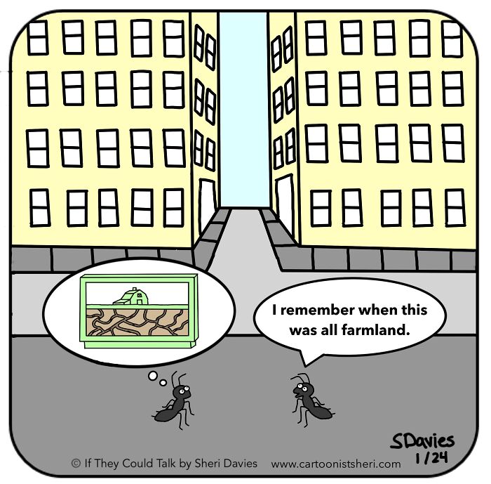 I Spend My Evenings And Weekends Drawing Simple Animal Cartoons And Now I’m Trying To Support Animal Charities