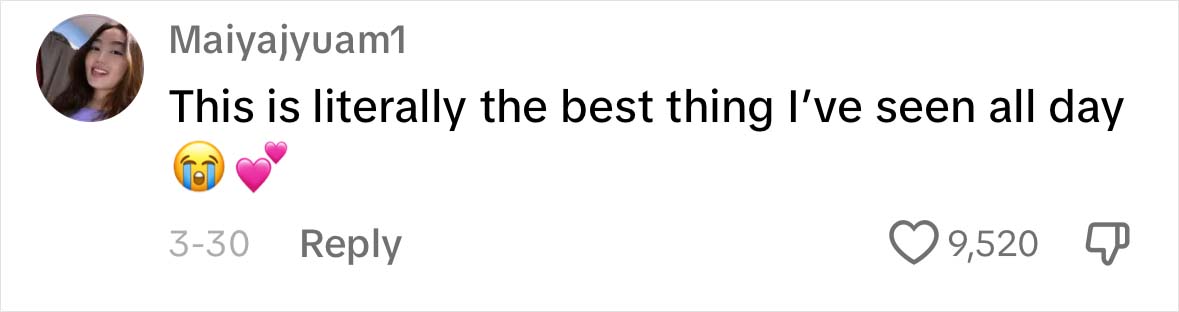 A Dog DNA Test Helps Woman Discover Her Mutt’s Entire Family Tree And She’s In Tears A Dog DNA Test Helps Woman Discover Her Mutt’s Entire Family Tree And She’s In Tears
