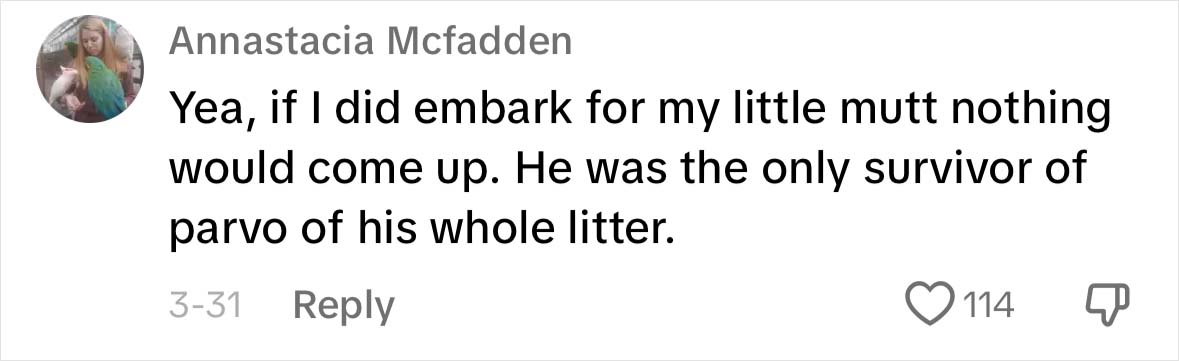 A Dog DNA Test Helps Woman Discover Her Mutt’s Entire Family Tree And She’s In Tears A Dog DNA Test Helps Woman Discover Her Mutt’s Entire Family Tree And She’s In Tears