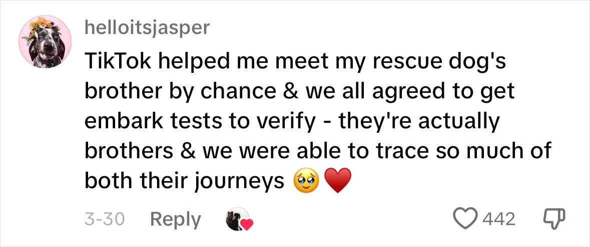 A Dog DNA Test Helps Woman Discover Her Mutt’s Entire Family Tree And She’s In Tears A Dog DNA Test Helps Woman Discover Her Mutt’s Entire Family Tree And She’s In Tears