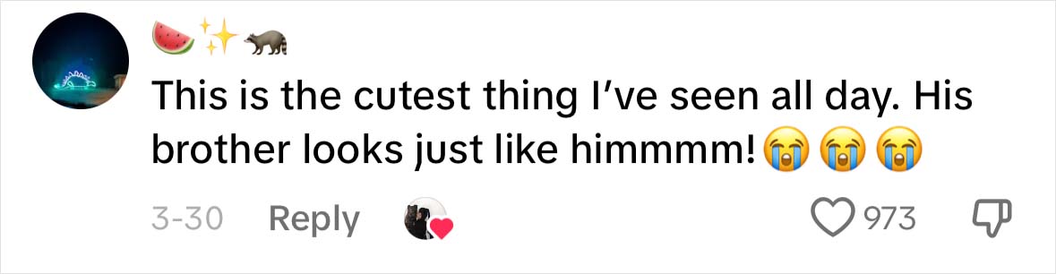 A Dog DNA Test Helps Woman Discover Her Mutt’s Entire Family Tree And She’s In Tears A Dog DNA Test Helps Woman Discover Her Mutt’s Entire Family Tree And She’s In Tears