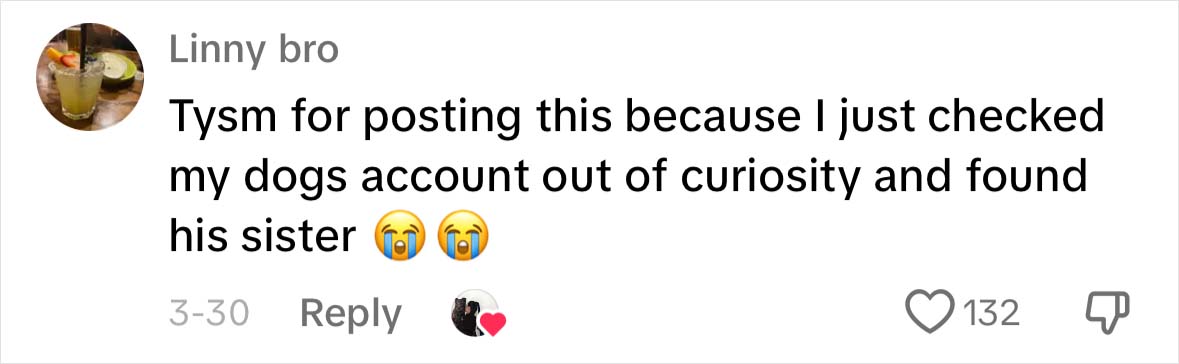 A Dog DNA Test Helps Woman Discover Her Mutt’s Entire Family Tree And She’s In Tears A Dog DNA Test Helps Woman Discover Her Mutt’s Entire Family Tree And She’s In Tears